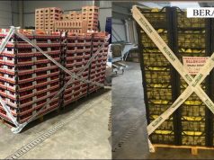 Kroacia bllokoi rreth 8 tonë domate me pesticide – Arrestohen tre persona në Berat, mes tyre dhe dy inspektorë të AKU-së