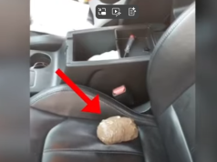 Kapet me kanabis dhe kokainë të ndara në 4 pako në automjet, arrestohet 41-vjeçari në Vlorë! Punonjës i burgut të Fierit