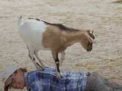 “Ekziston një gjuhë që shëron gjithçka…”Historia frymëzuese e gruas që gjeti kuptimin e jetës te kafshët dhe natyra në Maqedoninë e veriut..