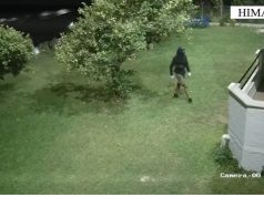 (Video) Kapen hajdutët e fshatit/ Himarë, sekuestrohen armë dhe sende të vjedhura