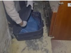 EMRAT/ Kush janë 5 anëtarët e grupit kriminal të arrestuar, mes tyre një vajzë