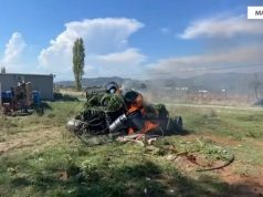 Asgjësohen mijëra rrënjë kanabis në Malësinë e Madhe, 14 të arrestuar, mes tyre 3 gra! 10 në kërkim