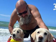 Rojet e plazhit katërkëmbësh shpëtojnë pushuesin nga mbytja në Itali