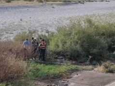 Shkodër/ Atentat me armë në lokal, dy të vrarë e dy të plagosur – autori arrestohet pas ndjekjes (Pamjet)