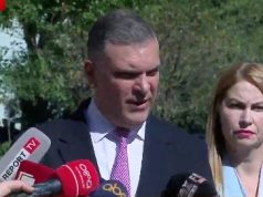 Blushi: Diella nuk ishte asgjë më shumë sesa bashkëshortja e kreut të qeverisë, Linda Rama.