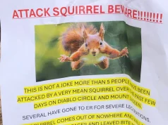 Ketri agresiv bën për spital të paktën dy persona në Kaliforni