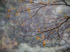 Moti prish planet e fundjavës! Cilat zona do të preken më shumë?