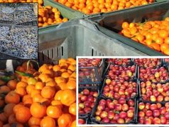 AKU: Pjeshkët dhe rrushi i importuar nga Greqia rezultojnë me pesticide – shëndeti i konsumatorëve në rrezik