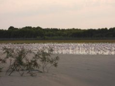 IUCN: Shqipëria të amendojë ligjin që cenon zonat e mbrojtura
