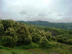 Kërkohet një 26-vjeçar i humbur në malësinë e Tropojës