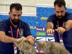 Mallkimi i maces godet Brazilin – Kombëtarja në krizën më të rëndë të historisë