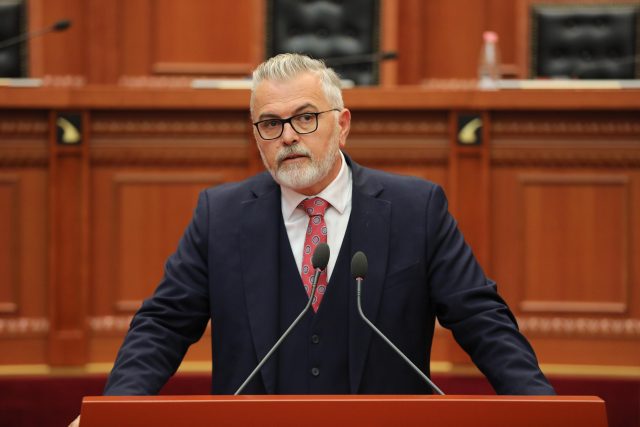 Ministri Gogu