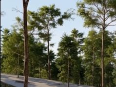 Edi Rama prezanton projektin e ri për qendrën e vizitorëve të Butrintit