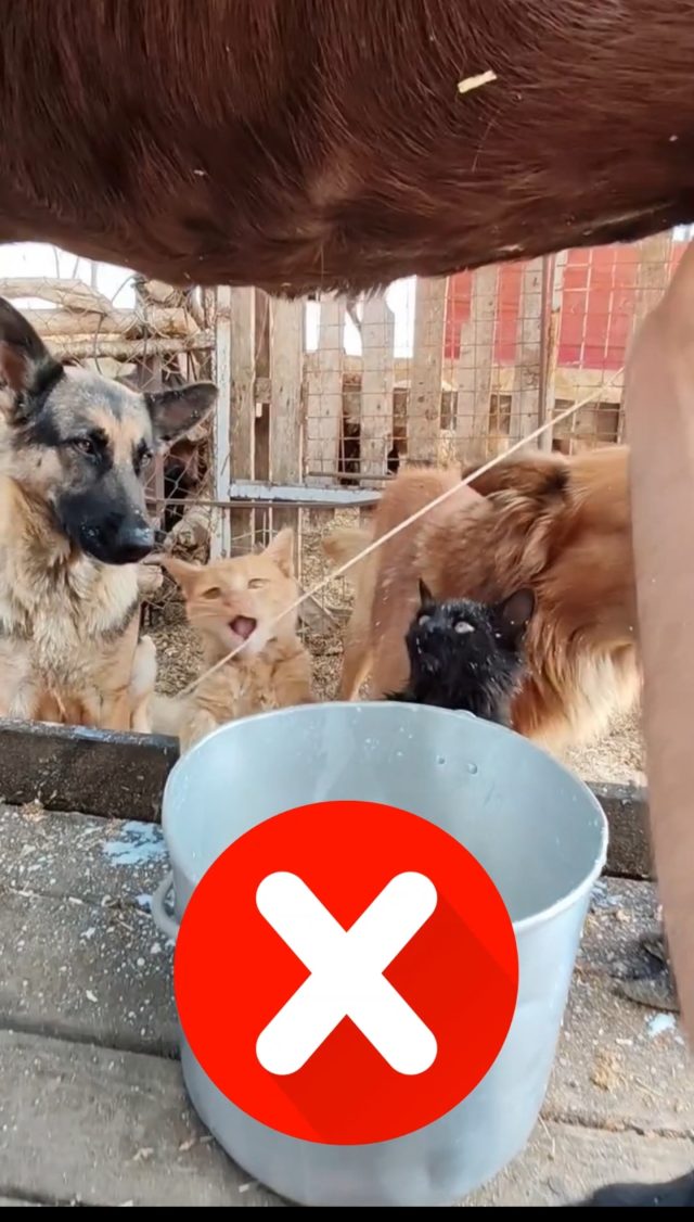 Screenshot_20251031-174919_Photos