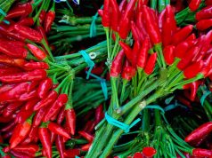 Mbetje pesticide mbi normë, Sllovenia bllokon një sasi specash djegës nga Shqipëria