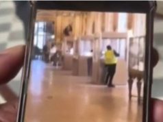 Detaje të reja nga grabitja e Luvrit