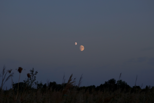 image-1000x667-2025-10-22T015427.388