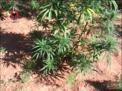 Prokuroria e Shkodrës nis hetimet për vdekjen e Mirel Çokajt, pas dyshimeve për vrasje