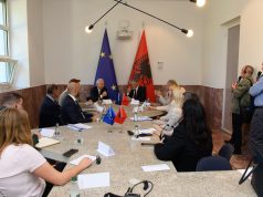 Toni Gogu me Parlamentarët Europianë: Qeveria s’ka asnjë sekondë për të humbur në avancimin e agjendës europiane të Shqipërisë