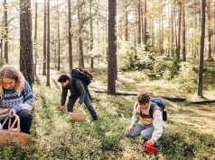 Pse udhëtarët e luksit po paguajnë për të “punuar” për darkën e tyre
