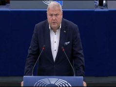 Eurodeputeti Terras: Ndërhyrja e Serbisë në zgjedhjet lokale të Kosovës, e papranueshme