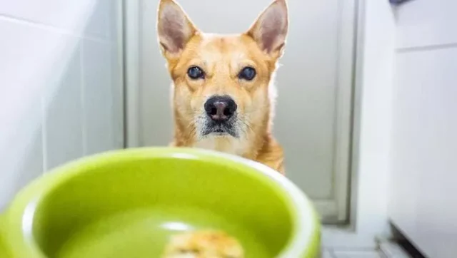 105814019-c9ec2b2e-da02-4f0e-b861-aa9c3e879d38