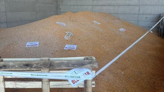 1763120646_akubllokimimisrit