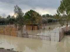 Moti i keq/ Lumi Seman përmbyt disa stalla dhe pemishte në Fier, në Lushnje mbeten nën ujë 200 hektarë tokë bujqësore