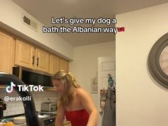 Lau qenin në lavamanin e enëve. Gjesti i Tik Tokeres shqiptaro-amerikane fyen rëndë nikoqiret shqiptare, që e “pushkatojnë” për “shenjtërinë” e lavapjatës