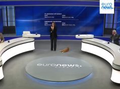 Moderatorja e re e “NOW” në Euronews? Sot, përkrah Erla Mëhillit, ishte edhe… Ginger!