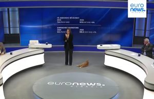 Moderatorja e re e “NOW” në Euronews? Sot, përkrah Erla Mëhillit, ishte edhe… Ginger!