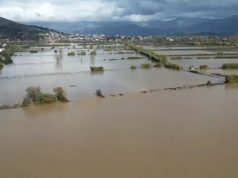 Reshjet e dendura shkaktojnë dëme në disa qarqe: Evakuime, bagëti të mbytura dhe kërkime për të zhdukurën në Progovë