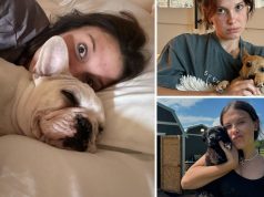 Millie Bobby Brown lë Hollywood-in për të shpëtuar qentë endacakë – hap fermën e saj të shpëtimit në Xhorxhia