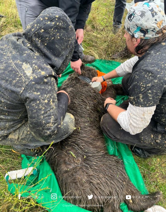 584644266_783997957974625_6130491054728346952_n (1)