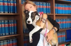 Avokatja që mbron kafshët si njerëz: Historia prekëse e Giada Bernardit, juristes italiane që lufton çdo ditë për ata që nuk kanë zë