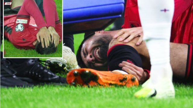 -800-0-902f28ae58c43a3a8ea055a747cacdd6