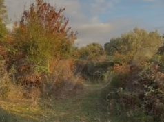 Atentati në Rinas, makina e autorëve gjendet pranë një përroi në pyllin e fshatit Halil. Policët nuk i afrohen dot sepse…