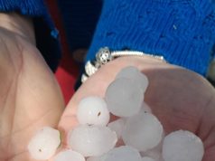 Breshër i pazakontë në Gramsh