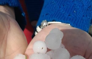 Breshër i pazakontë në Gramsh