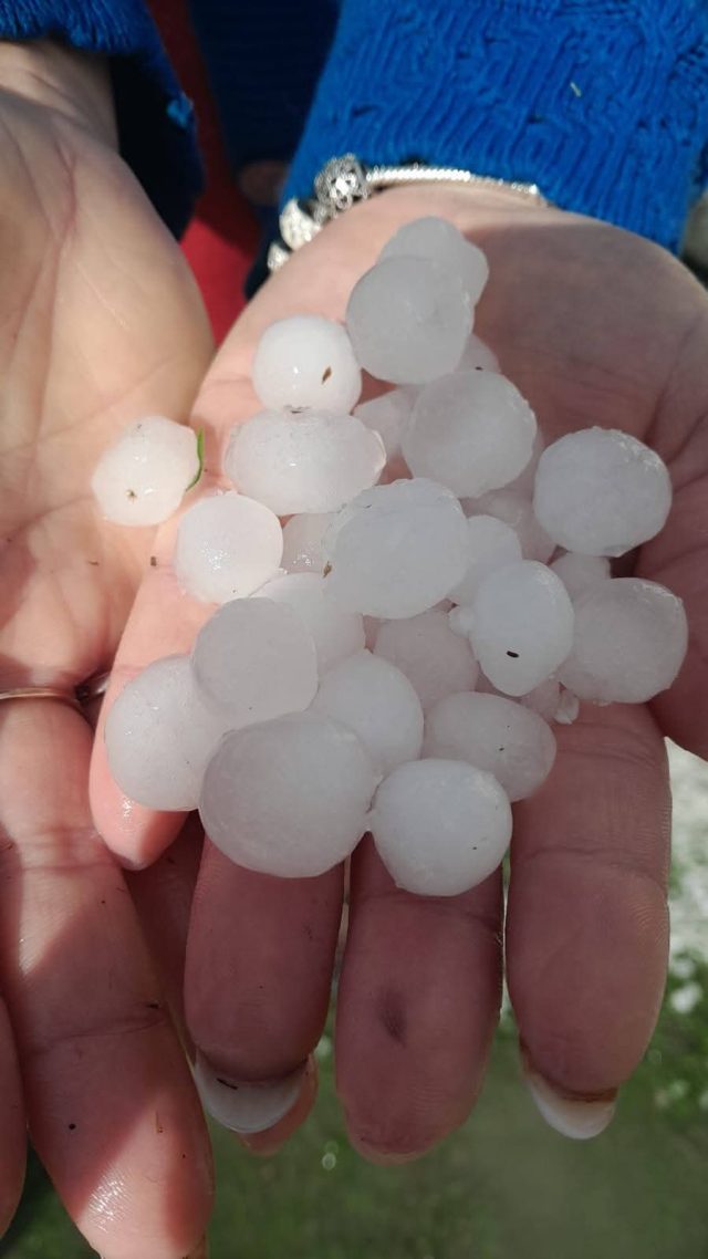 FB_IMG_1762616560562