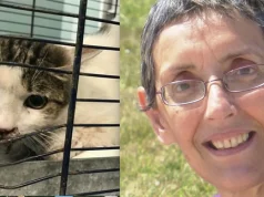 Një jetë mes librave dhe maceve, bibliotekarja italiane lë pasurinë e saj për kafshët e rrugës