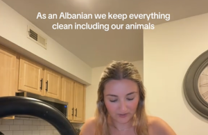 Lau qenin në lavamanin e enëve. Gjesti i Tik Tokeres shqiptaro-amerikane fyen rëndë nikoqiret shqiptare, që e “pushkatojnë” për “shenjtërinë” e lavapjatës