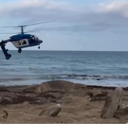 Screenshot 2025-11-09 185115