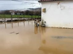 Reshjet e fundit: problematika të izoluara, situata në shumicën e qarqeve e stabilizuar