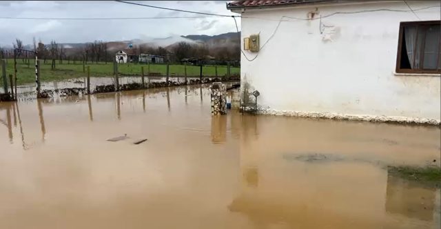 Screenshot 2025-11-18 152528