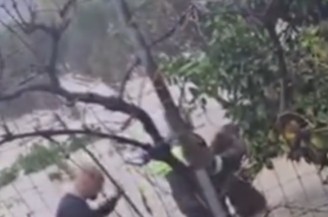 Screenshot 2025-11-19 121906