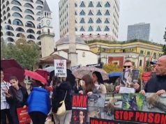 Video/ “Mjaft më”! Shqiptarët ngrihen kundër abuzimit me kafshët. Kërkohet hetim nga SPAK për fondet e bashkive