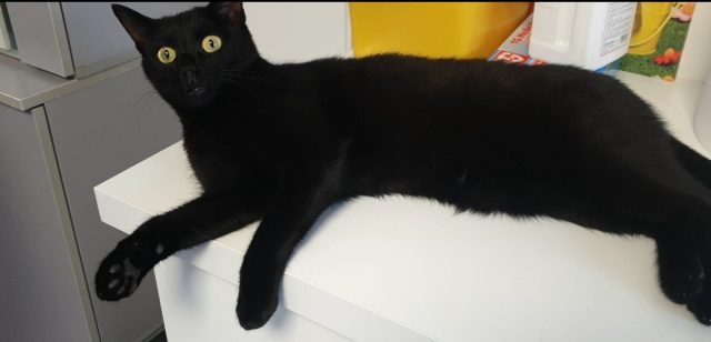 Screenshot_20251117-133153_Gallery