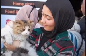 Gaza, veterinerët e mbetur pa klinika shëtisin lagjje më lagjje për të ofruar mbështetje për vullnetarët që kujdesen për macet