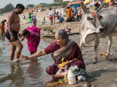 Skandal në Indi: Një email për lopët ndez alarmet për lirinë akademike në universitetin më prestigjioz të vendit